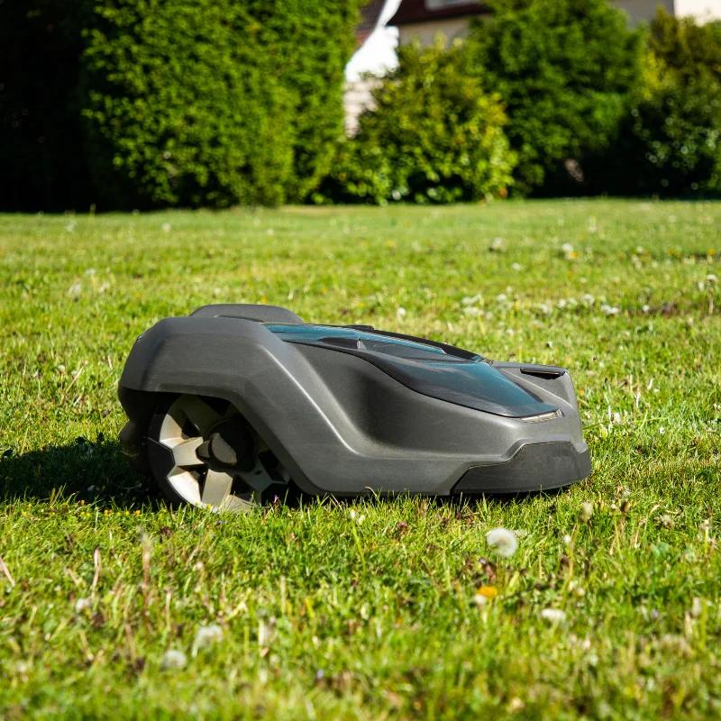 gudrā rozete - blogs