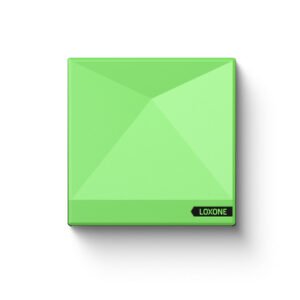 Loxone Miniserver Go, galvenais vadības modulis