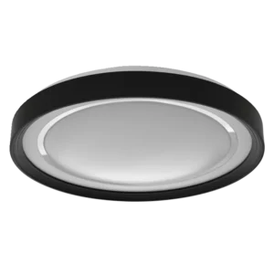 Gudrā lustra / lampa SMART WIFI ORBIS GAVIN RD500 TW BK melna