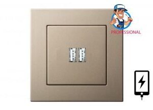 Liregus Epsilon usb ligzda 3.4a 220v - šampanieša