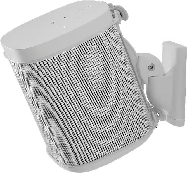 Sanus sienas stiprinājums skaļrunim One - Image 2